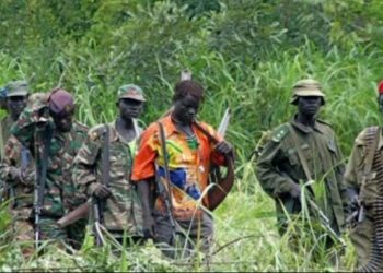 Ituri : nouvel accrochage entre FRPI et FPIC à Irumu