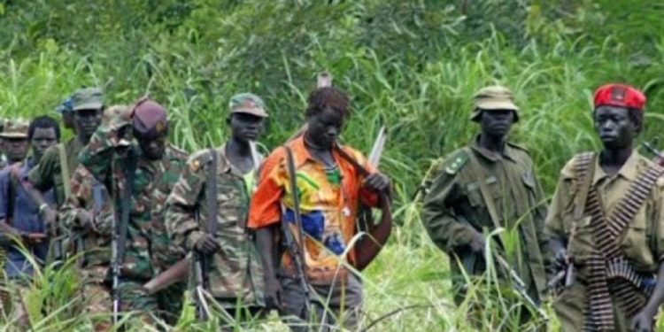 Ituri : nouvel accrochage entre FRPI et FPIC à Irumu