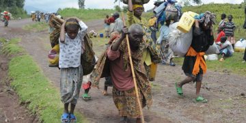 Ituri : nouvel afflux des déplacés au Nord-Kivu après des attaques rebelles à Mambasa