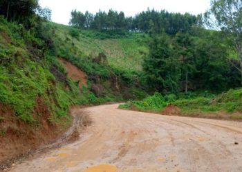 Braquage des véhicules à Walikale : la société civile plaide pour la sécurisation de l’axe routier Ndjingala-Kanyama