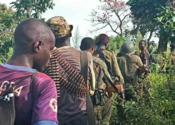 Beni : 5 morts et 4 disparus dans une nouvelle incursion des ADF à Bulongo
