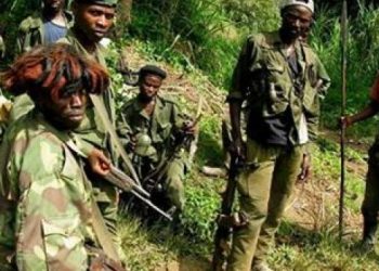 Ituri : des rebelles ADF occupent 13 villages à Mambasa (CRDH)