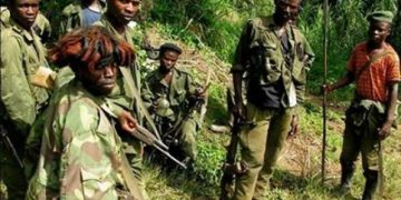 Ituri : des rebelles ADF occupent 13 villages à Mambasa (CRDH)