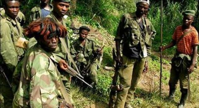 Ituri : des rebelles ADF occupent 13 villages à Mambasa (CRDH)