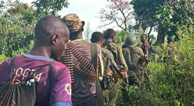 Lubero : “Les miliciens qui ne vont pas adhérer au PDDRC-S seront traqués par l’armée”, (AT. militaire)