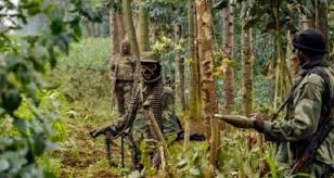 Rutshuru : deux présumés bandits neutralisés par les FARDC à Kitshanga-Kahe