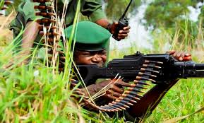 Beni : deux miliciens maï-maï neutralisés par l’armée à Bashu