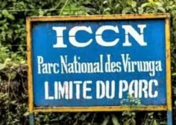 Beni : consensus trouvé entre ICCN et population autour du problème d’envahissement du PNVi à Kasindi