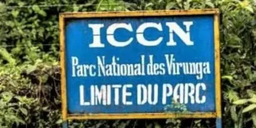 Beni : consensus trouvé entre ICCN et population autour du problème d’envahissement du PNVi à Kasindi
