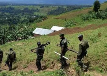 Rutshuru : psychose à Buramba et Nyamilima après le passage des FDLR dans la zone