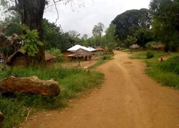 Beni : un agent de la société Esco Kivu tué par des inconnus armés à Watalinga