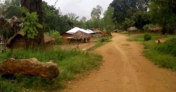 Beni : un agent de la société Esco Kivu tué par des inconnus armés à Watalinga