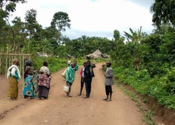 Beni : une dizaine de  cultivateurs pris en otage par des ADF à Bashu