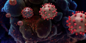 COVID-19 : 6 nouveaux cas positifs notifiés en ville de Goma