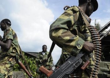 Beni : la société civile alerte sur des mouvements suspects de présumés ADF à Bashu et à Rwenzori