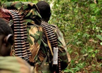 Ituri : 5 morts dans une nouvelle incursion des rebelles ADF à Irumu