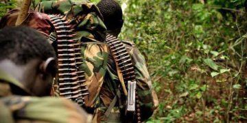 Ituri : 5 morts dans une nouvelle incursion des rebelles ADF à Irumu