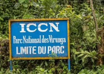 Conflit ICCN-Population : les forces vives de Basongora invitent les parties prenantes au respect de leur engagement