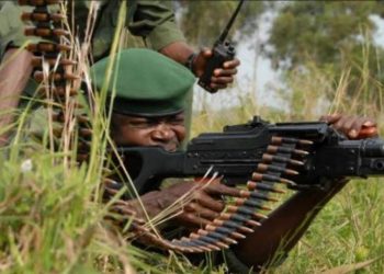 Beni : nouvelle attaque des ADF à Kisima (Rwenzori)