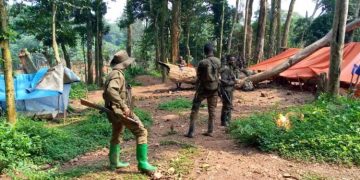 Bashu : deux présumés assassins d’un agent de l’ANR à Kohondo arrêtés par les FARDC