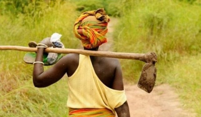 Rutshuru : des agriculteurs empêchés d’accéder à leurs champs par les rebelles du M23