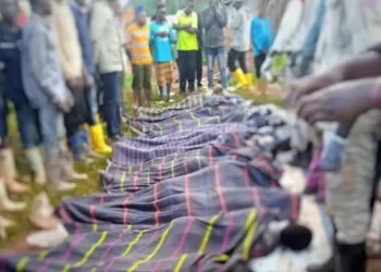 Massacres de Kishishe : « Des enquêtes approfondies doivent être déclenchées afin que la justice se saisisse des coupables », (CIDHOPE)