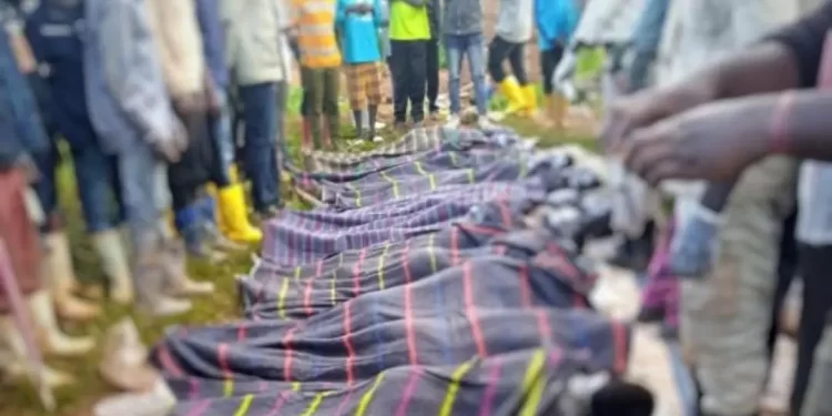 Massacres de Kishishe : « Des enquêtes approfondies doivent être déclenchées afin que la justice se saisisse des coupables », (CIDHOPE)