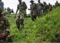 Rutshuru : retour au calme à Mangina Muliki après d’intenses combats entre les FARDC et M23/RDF