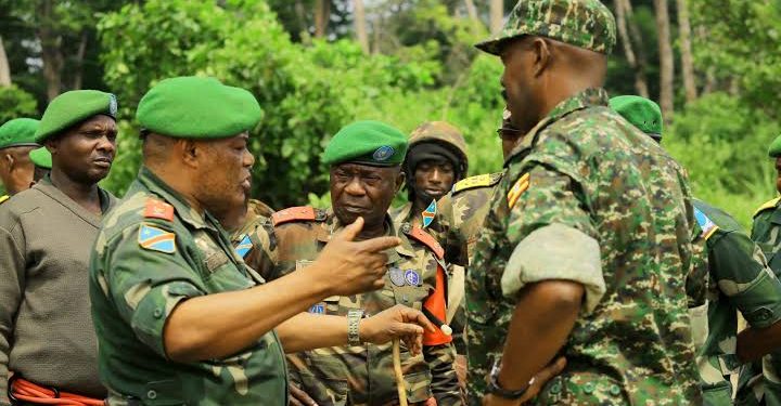 Beni : les forces vives de Ruwenzori satisfaites des opérations conjointes FARC-UPDF