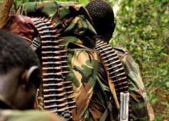 Beni : un mort et deux blessés dans une attaque des rebelles ADF à Eringeti