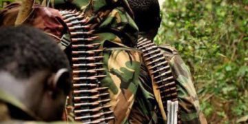 Beni : un mort et deux blessés dans une attaque des rebelles ADF à Eringeti