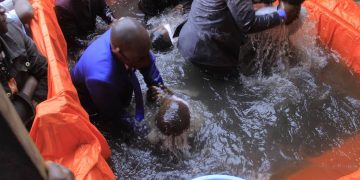 Nord-Kivu : plus de 200 détenus de la prison centrale de Butembo baptisés au sein de l’église adventiste