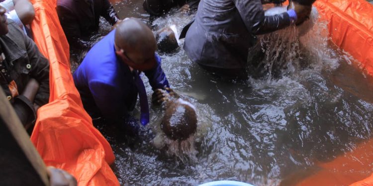 Nord-Kivu : plus de 200 détenus de la prison centrale de Butembo baptisés au sein de l’église adventiste