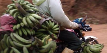 Guerre du M23/RDF : des conducteurs des motos transportant des vivres victimes des tracasseries à Kalengera sur la route Goma-Rutshuru