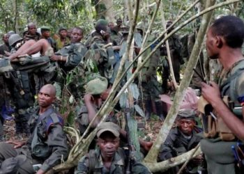 Ituri : des morts et des dégâts matériels dans une attaque de la CODECO à Mongbwalu