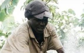 Rutshuru : Fikiri Baliulu, 60 ans, totalise une semaine entre les mains de ses ravisseurs