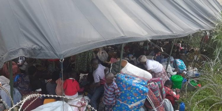 Guerre du M-23/RDF : des conditions de vie préoccupantes pour les déplacés accueillis à la base de la MONUSCO à Kitshanga (Masisi)