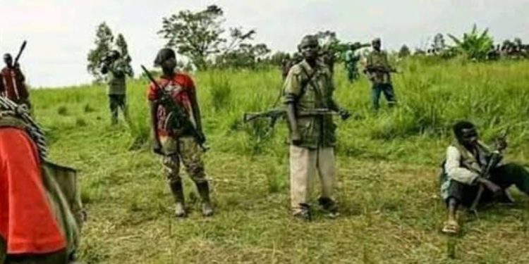 Lubero : la coalition FPP/AP-UPLC contrôle la localité de Muhangi après le repli des éléments du groupe armé Yira