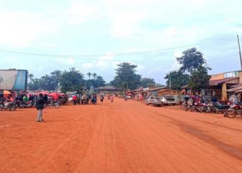 Mambasa : une femme sauvagement tuée par des inconnus à Makumo