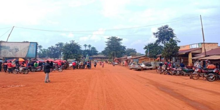 Mambasa : une femme sauvagement tuée par des inconnus à Makumo