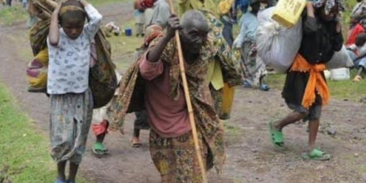 Masisi : des attaques du M23/RDF contre les positions des FARDC à la base d’un nouveau déplacement des populations