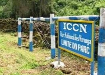 Beni : compromis trouvé entre l’ICCN et le chef du groupement Basongora sur la limite provisoire entre le parc et le quartier Congo Ya Sika de Kasindi
