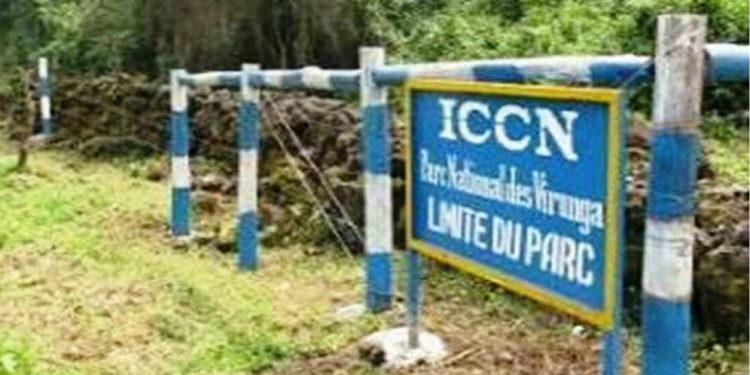 Beni : compromis trouvé entre l’ICCN et le chef du groupement Basongora sur la limite provisoire entre le parc et le quartier Congo Ya Sika de Kasindi