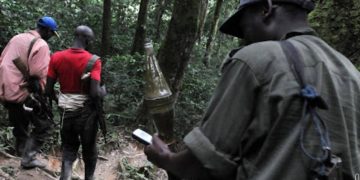 Beni : trois rebelles ADF, évadés de la prison de Butembo se rendent aux FARDC