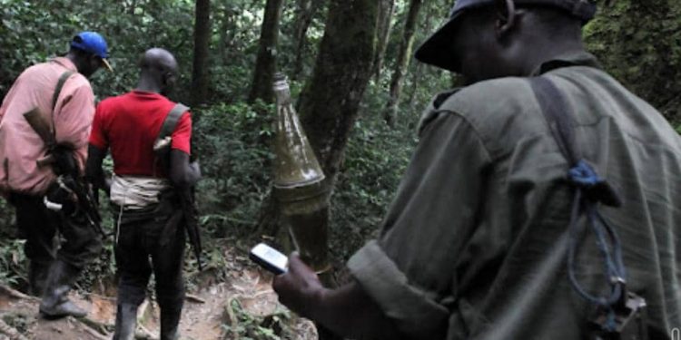 Beni : trois rebelles ADF, évadés de la prison de Butembo se rendent aux FARDC