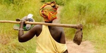 Guerre du M23/RDF : des travaux champêtres paralysés au Nord-ouest de Binza