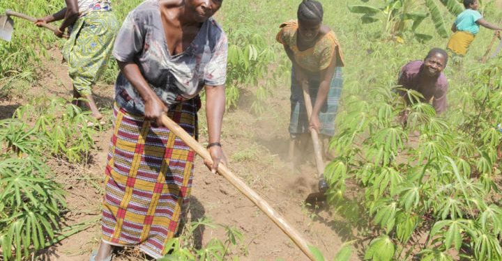 Rutshuru : trois agriculteurs pris en otage par des inconnus armés au Nord de Kiwanja
