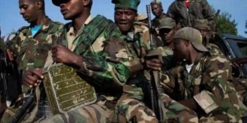 Nyiragongo : “Le M23 et l’armée rwandaise renforcent leurs positions au Nord de Kibumba”, alerte la Nouvelle société civile congolaise