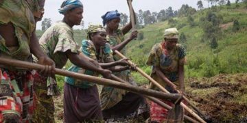 Beni : des agriculteurs pris en otage par des ADF dans le graben de Kavasewa (Bashu)