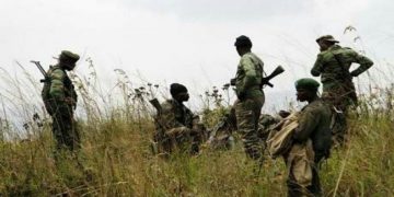 Ituri : la milice FPIC prête à déposer les armes !